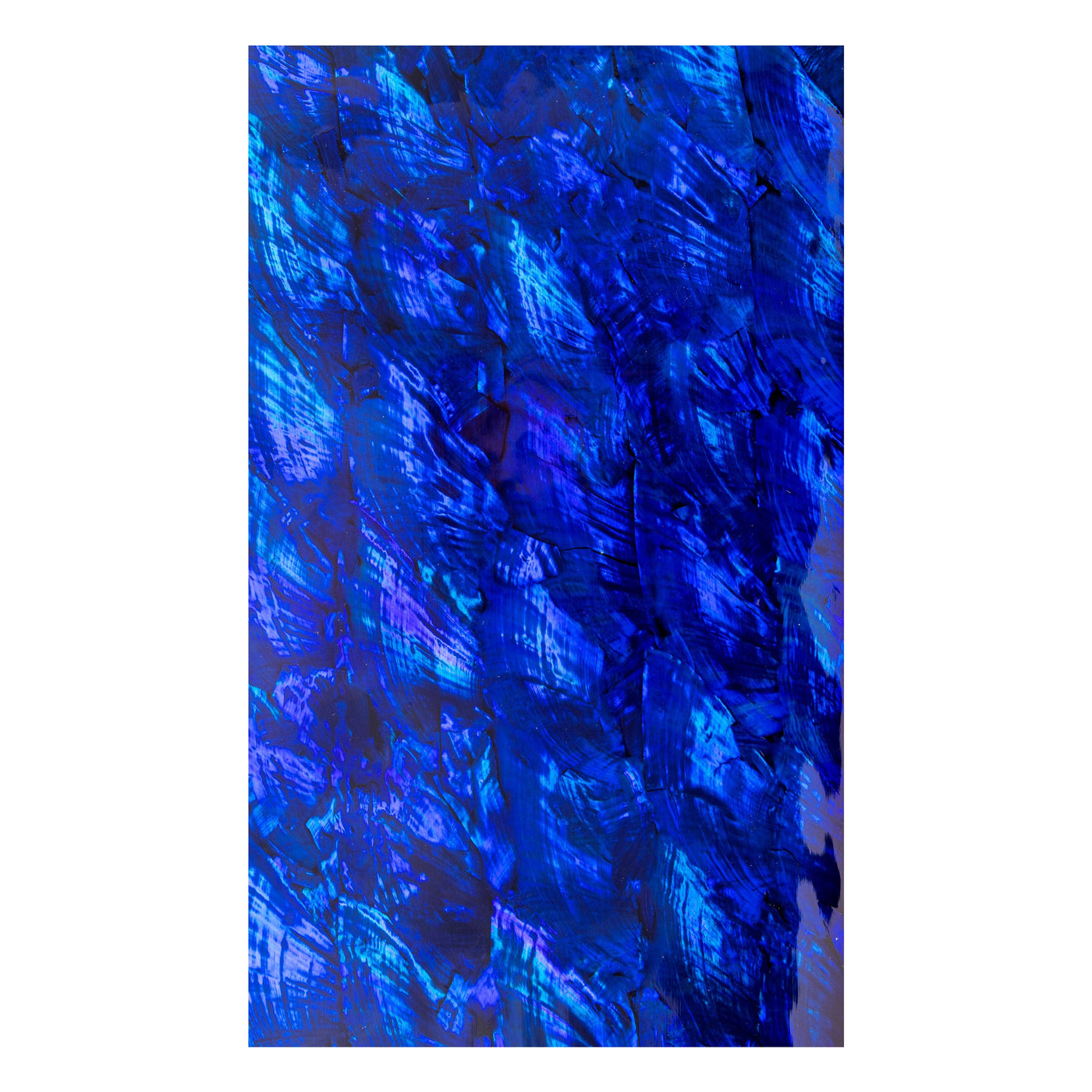 #color_angel wing dark blue