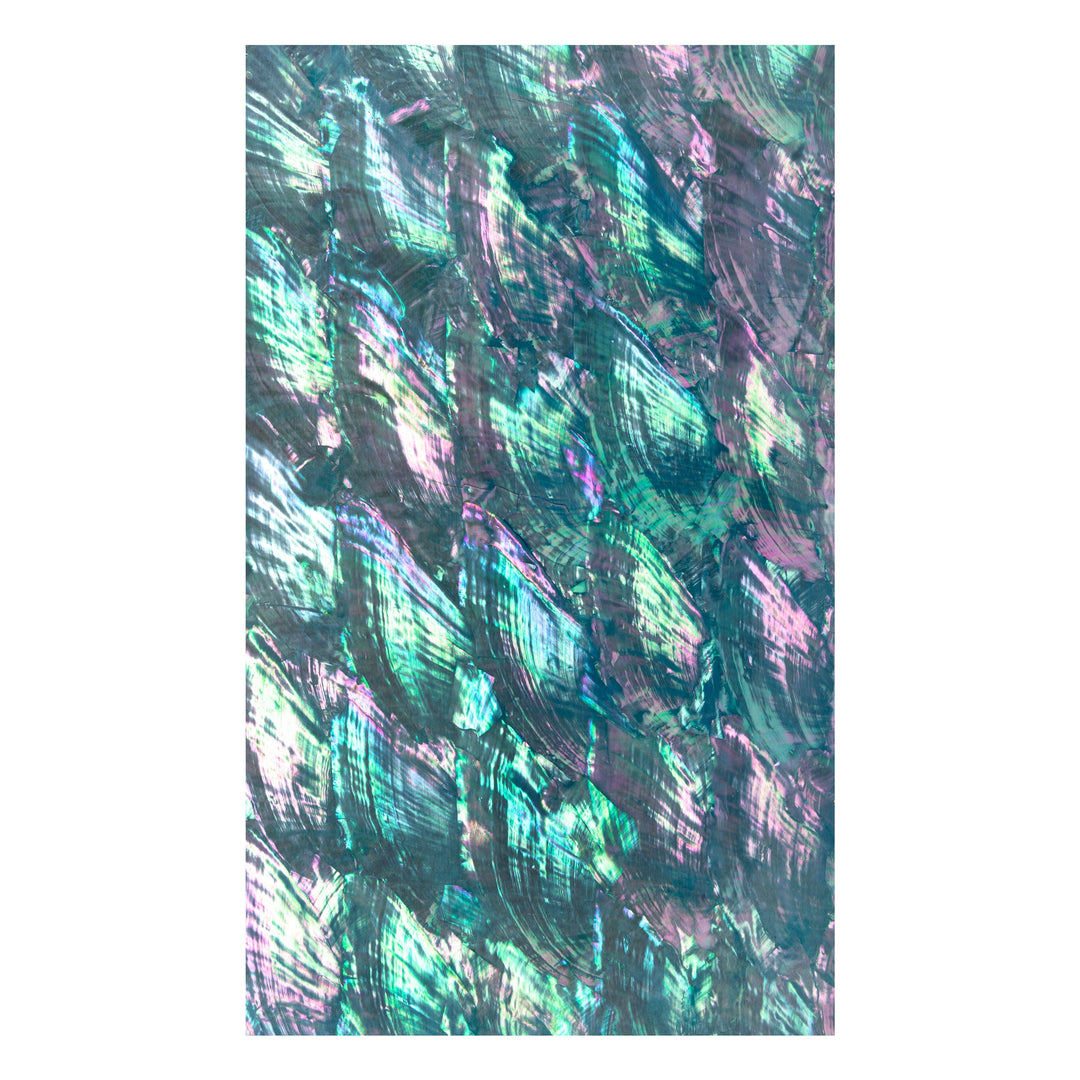 #color_angel wing ice blue