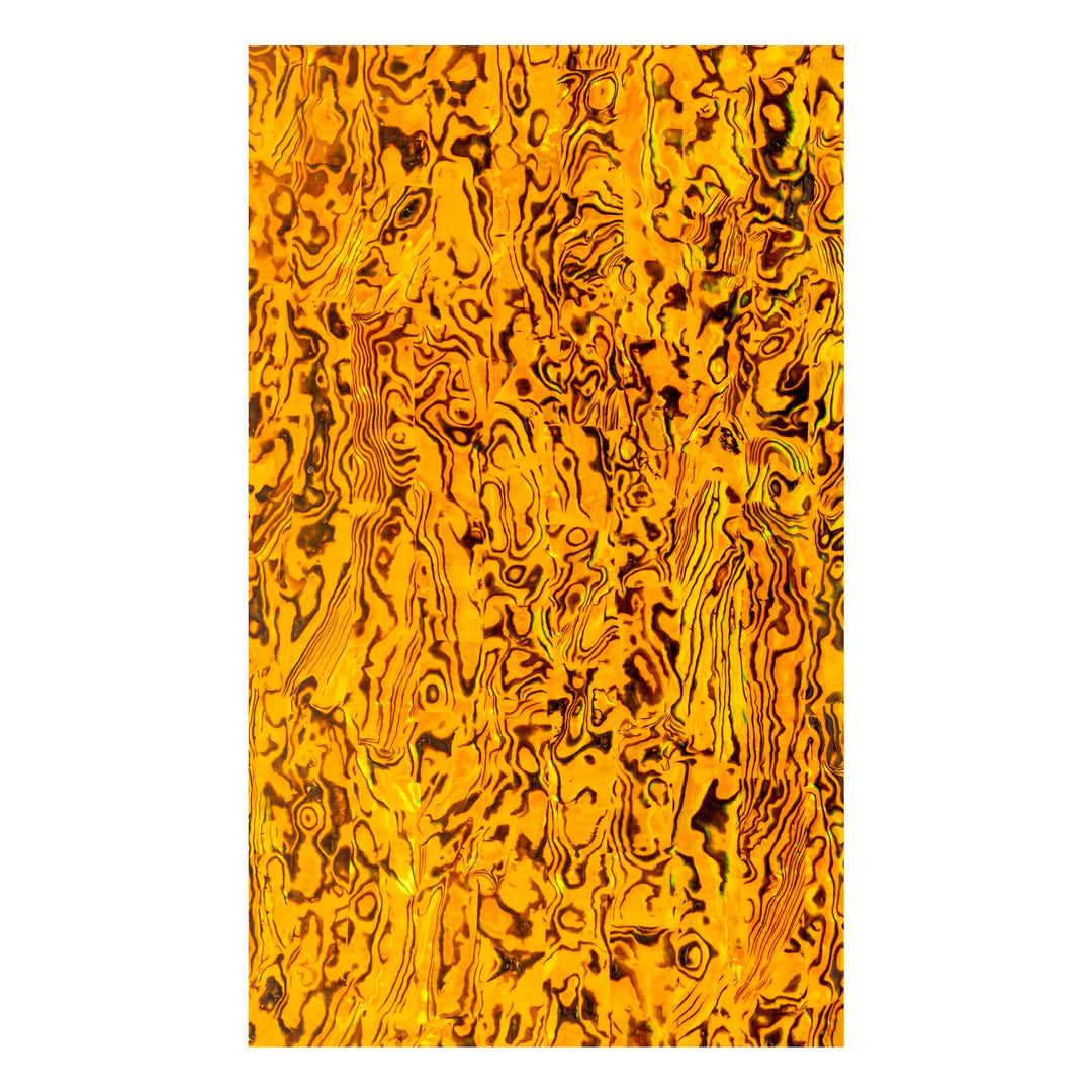 #color_gold paua