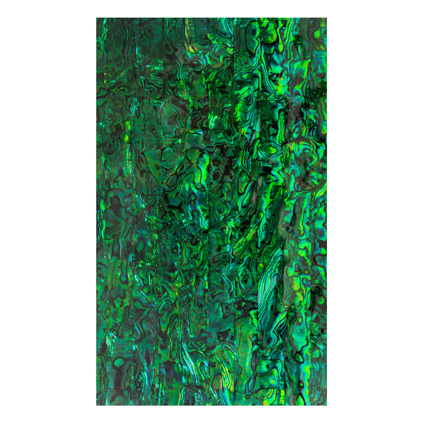 #color_green paua