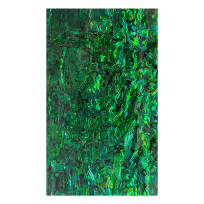 #color_green paua