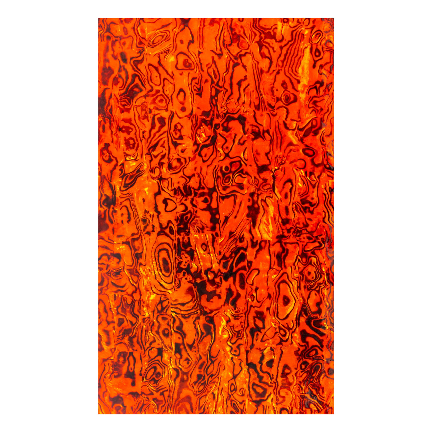 #color_orange paua
