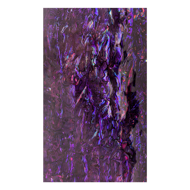 #color_purple paua