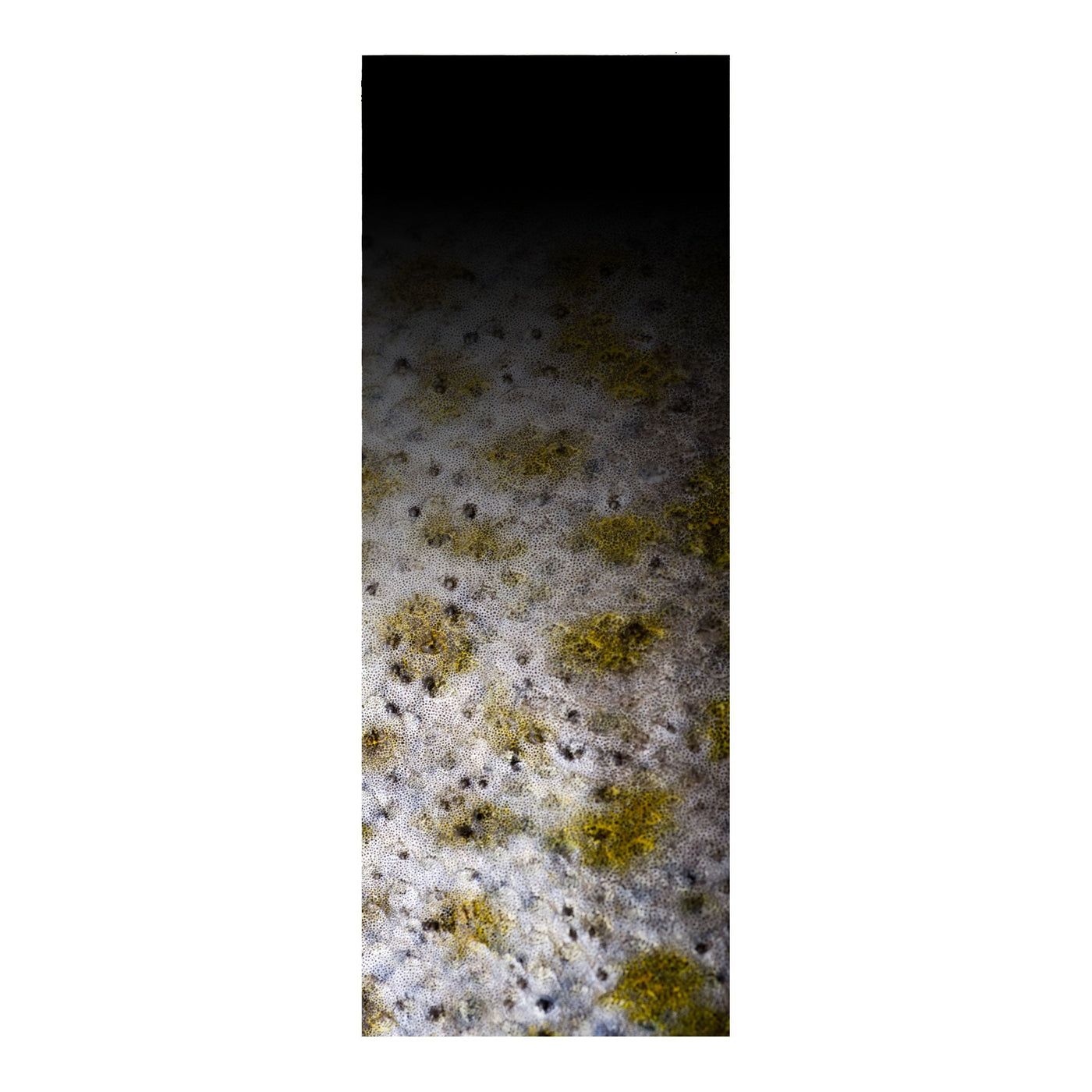 Rod Skinz Decorative Rod Wraps - Fade to Black