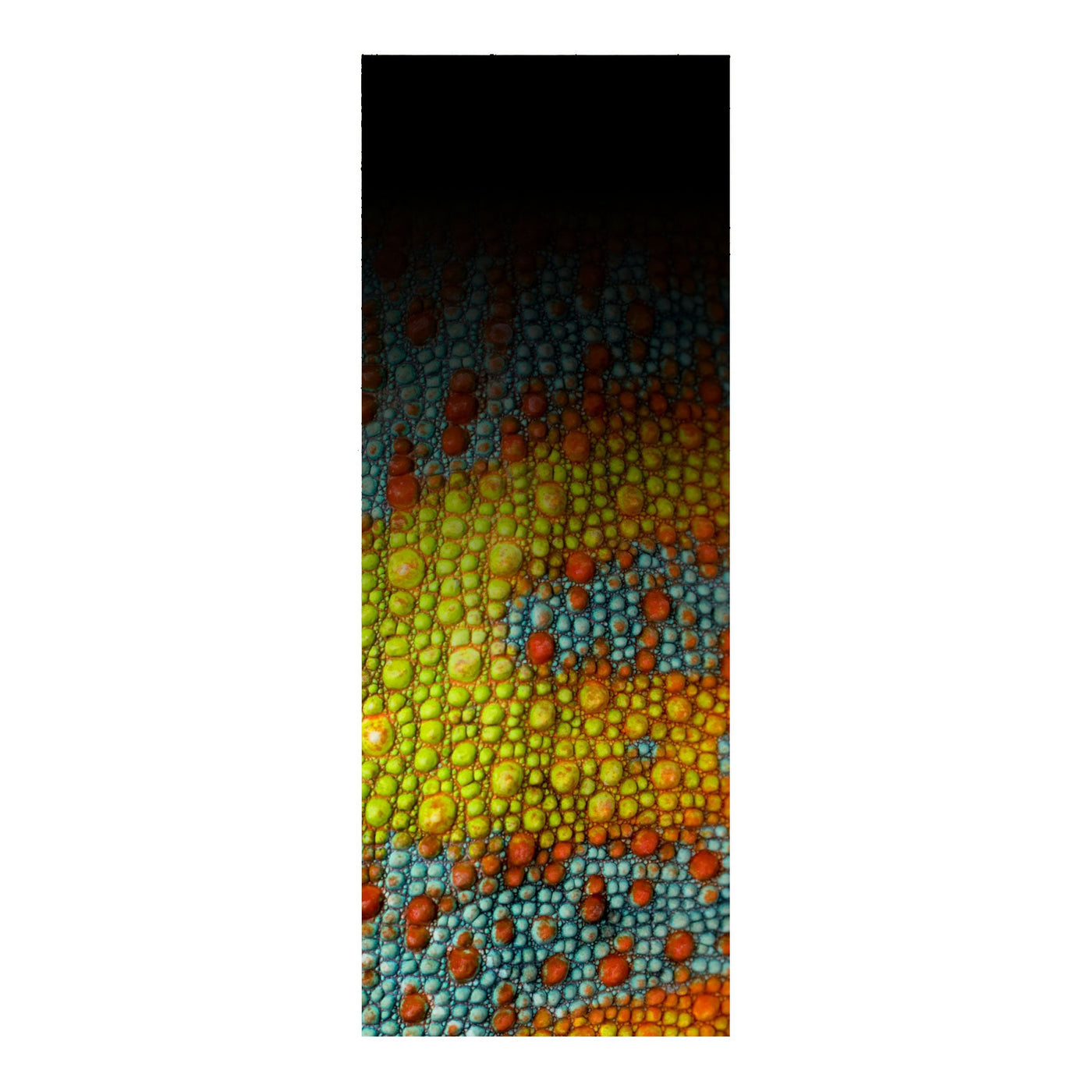 Rod Skinz Decorative Rod Wraps - Fade to Black