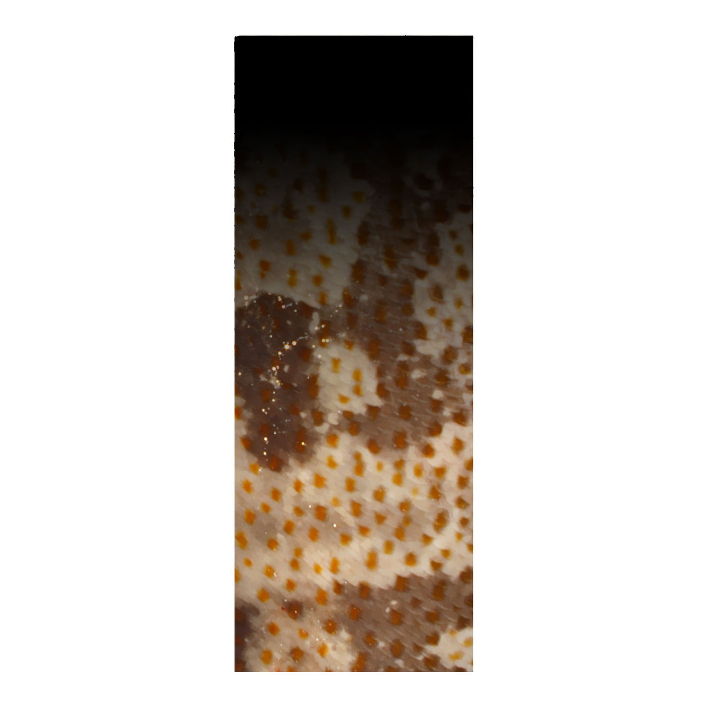 Rod Skinz Decorative Rod Wraps - Fade to Black