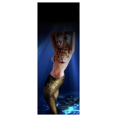 Rod Skinz Decorative Rod Wraps - Fade to Black