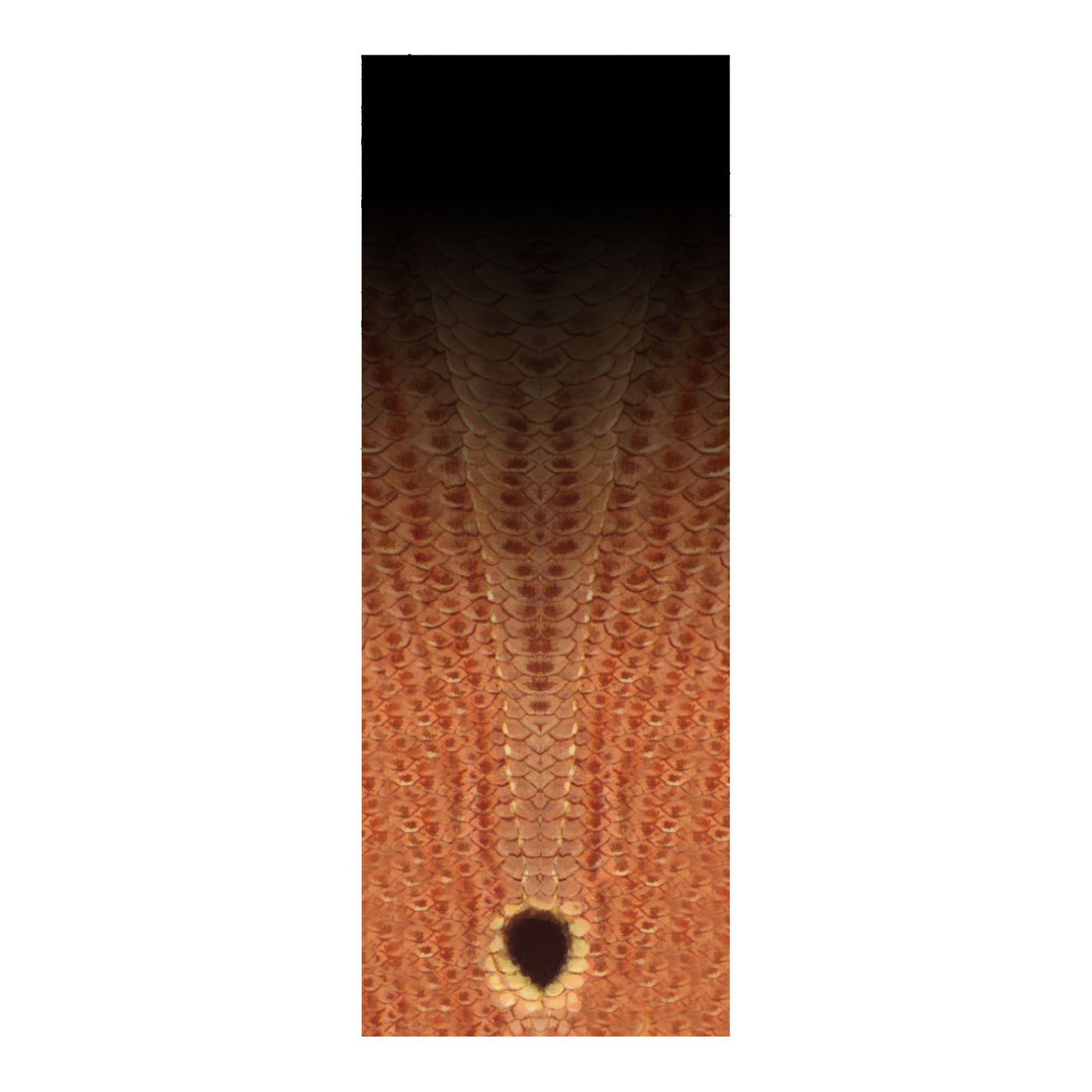 Rod Skinz Decorative Rod Wraps - Fade to Black