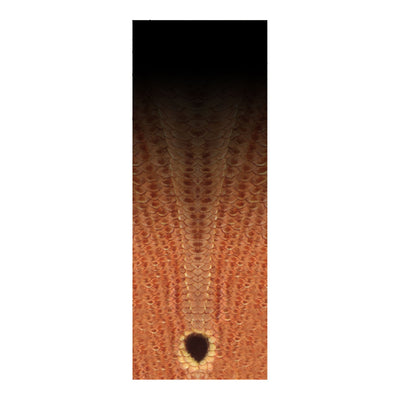 Rod Skinz Decorative Rod Wraps - Fade to Black