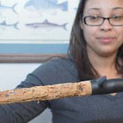 Build A Checkerboard Cork Handle On Fishing Rods - CRB Products